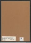 Triceratium stolterfolhii Tr. et Witt. (de-Toni-Nr.: Genus 140, Species 3984) Zeichnungen Sammlung Grunow Mappe 03981 (Herbarium_W_Grunow_drawings_Folder_03981)